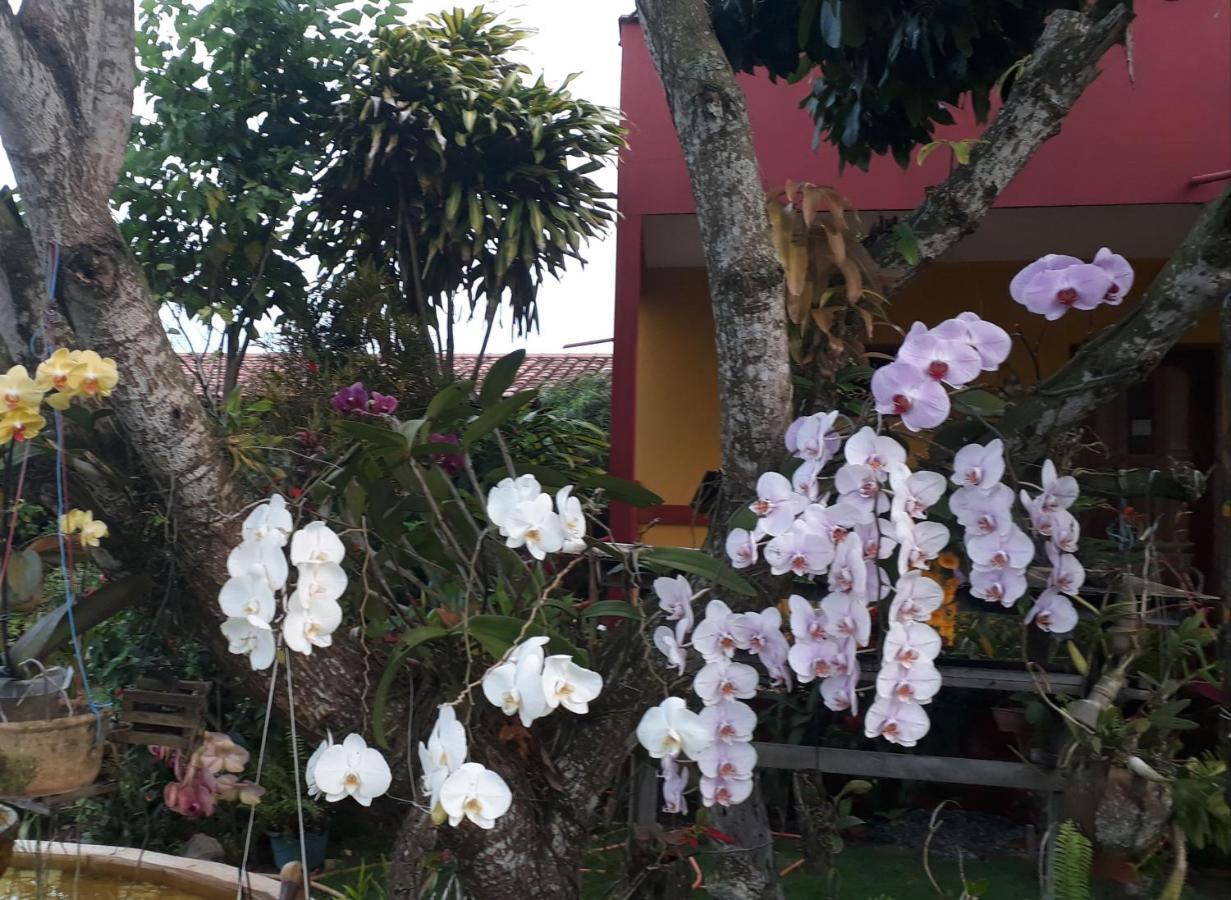Pousada Bromelias - Suites E Aptos Nova Vicosa Luaran gambar